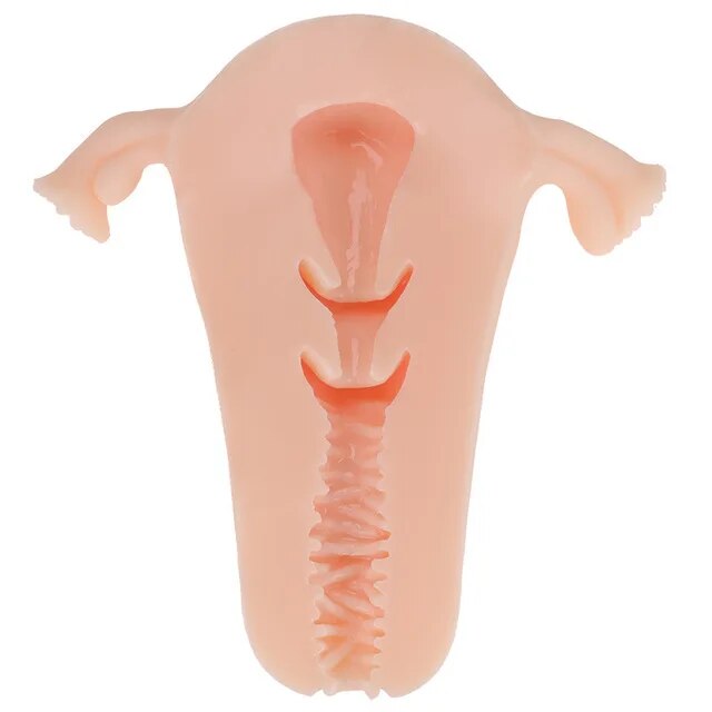 ชายนุ่มมดลูก Masturbator ช่องคลอดถ้วยจริงรุ่นหญิงจริงช่องคลอดสำหรับผู้ชาย Anal Sex ลึกมดลูก Sex ต่อมลูกหมากกระตุ้น sextoy